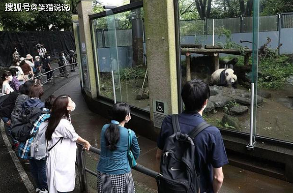 日本网友评大熊猫香香归还之事：要求送给他们，宣言香香的故乡是日本！ - 2