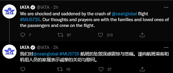 国际航空运输协会对东航航班坠毁“深感震惊与悲痛” - 1