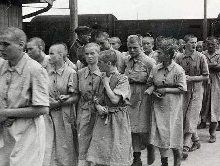 奥斯维辛集中营：历史的痛，人性的警钟 - 1