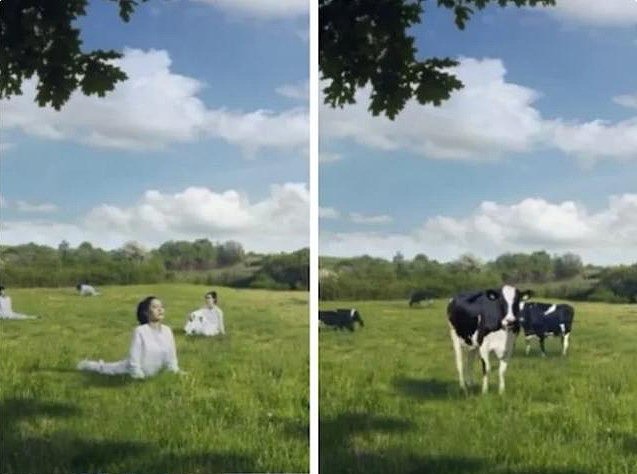 韩国广告将女性描绘成奶牛惹众怒 网友痛斥恶心 - 2