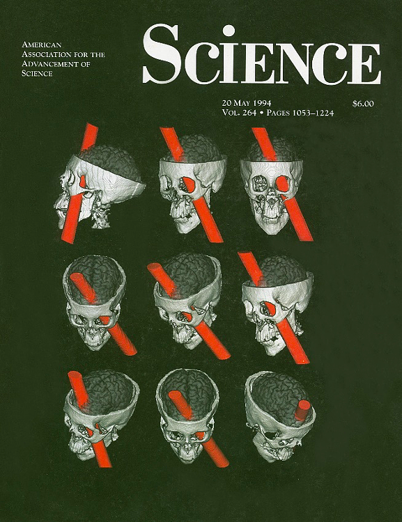 史上最传奇的头骨：被铁棒贯穿，被挖坟研究，最终登上 Science 封面 - 8