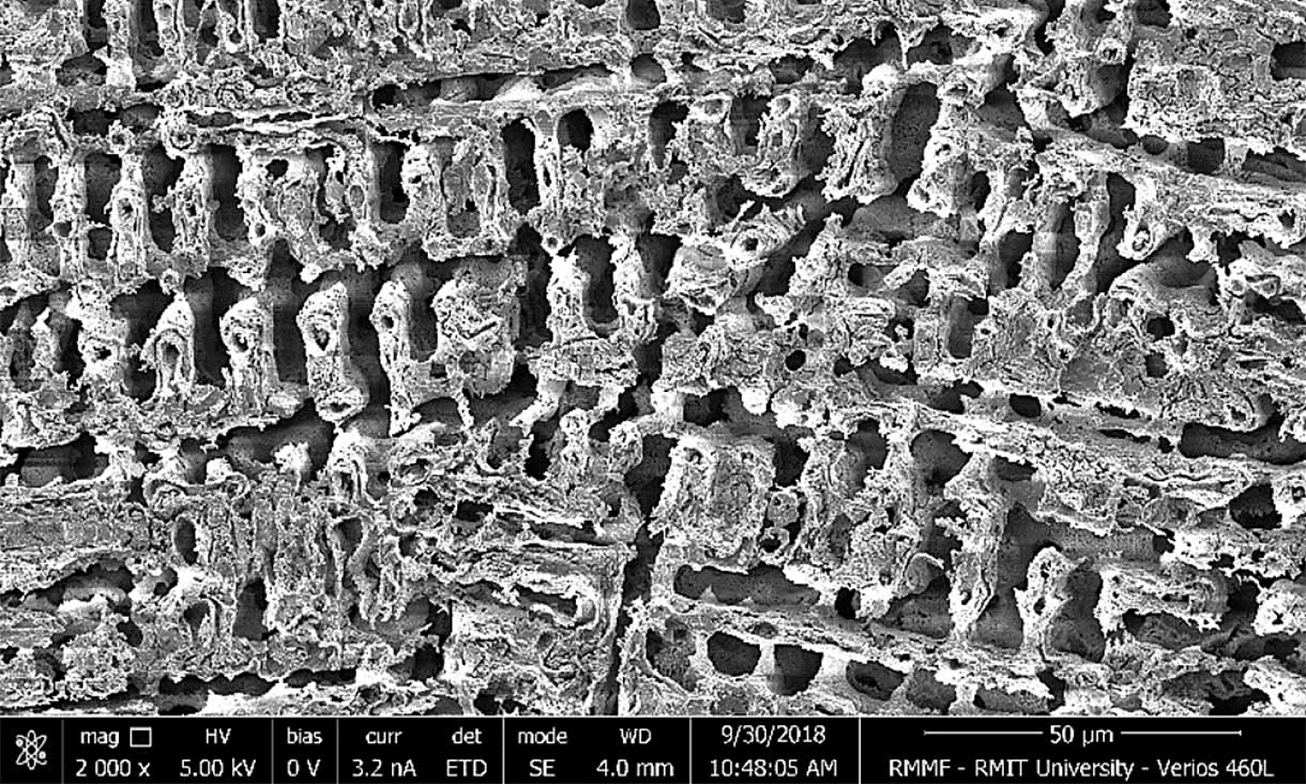 科学家研发出新型多孔铜：杀死金色普通球菌的速度是普通铜的120倍 - 1