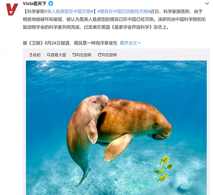 2008年以来没有活动记录 美人鱼原型儒艮被认为在中国已经灭绝 - 1
