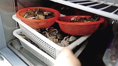 北京一胖哥俩餐厅因使用隔夜死蟹被罚50万元 食品安全员同时被罚 - 1