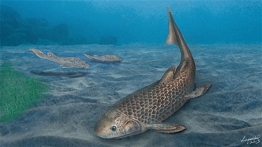 3.9亿年前，肺鱼是这样吃饭的 - 1