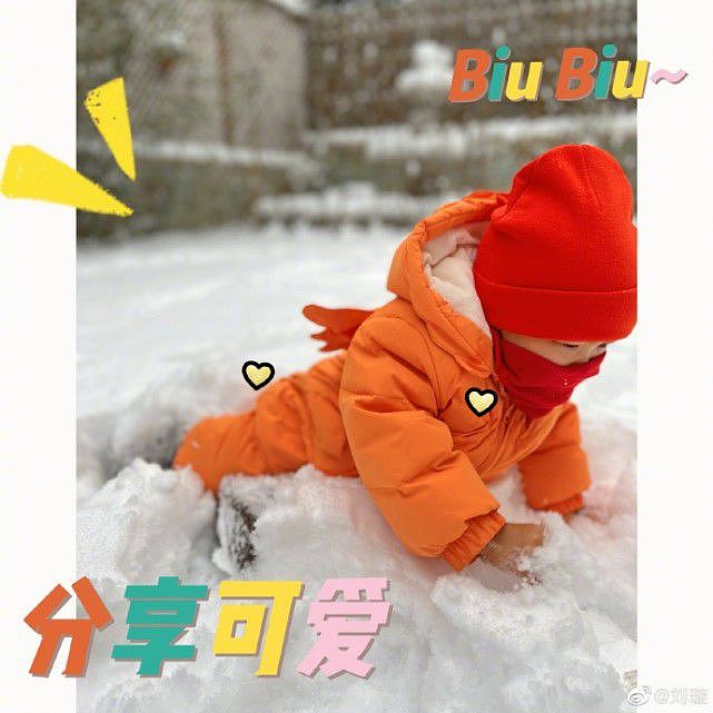 刘璇带儿女玩雪，两岁半女儿雪地拍照紧张得哭，五官和哥哥似饼印 - 6