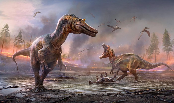 英国怀特岛发现类似鳄鱼头骨的化石 属于掠食性恐龙新物种 - 1