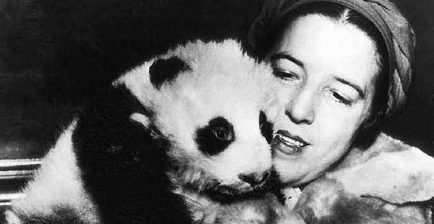 当年曾两次将熊猫从中国盗回美国的露丝，最终的结局是怎样的？ - 5