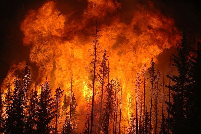 研究：大型野火产生的烟雾可能会破坏臭氧层 - 1