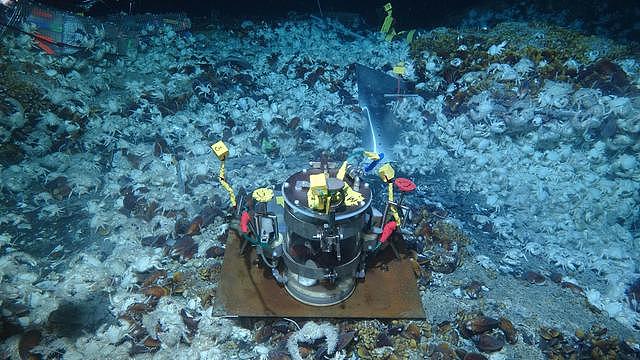 “科学”号科考船圆满完成“在海底做实验”任务 - 4