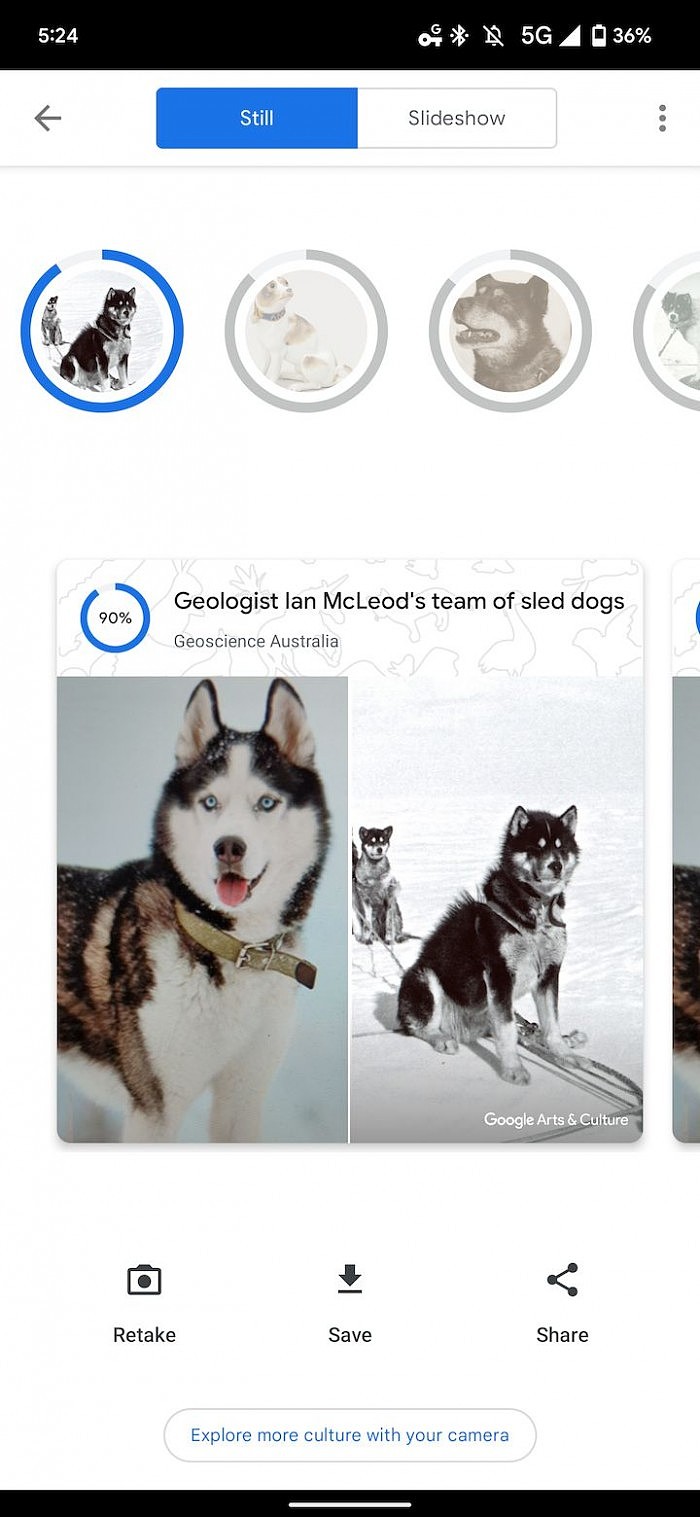 Google Arts & Culture新增Pet Portraits功能：宠物照可匹配艺术品 - 4
