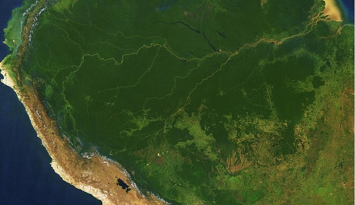 “地球之肺”缺氧 巴西亚马孙雨林上半年砍伐面积刷新记录 - 1