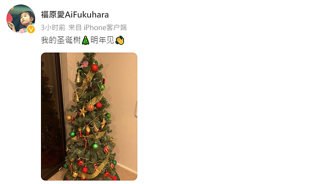 福原愛曬出聖誕樹，引來網友留言祝福。（圖／截圖自福原愛微博）