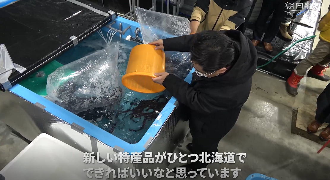 日本北海道一数据中心利用废热来养殖鳗鱼 - 1