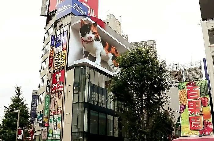 巨型喵星人亮相闹市街头，这只电子屏上的3D猫咪化身成热门景点 - 4