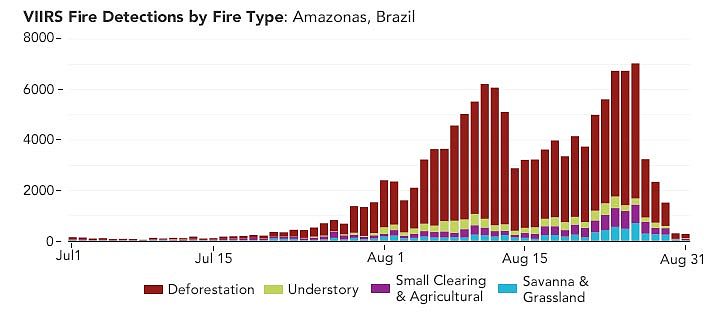 研究：亚马逊西部烟雾弥漫的天空主要是由森林砍伐引起的火灾产生 - 3
