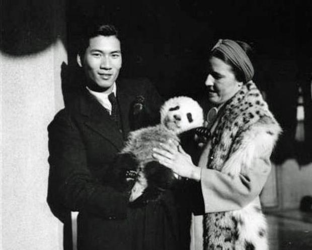 当年曾两次将熊猫从中国盗回美国的露丝，最终的结局是怎样的？ - 4