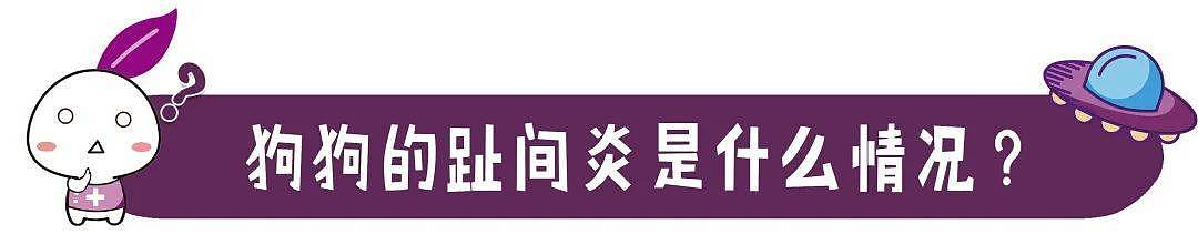 狗狗的脚趾缝红肿、消不掉是怎么回事？原因和防治别错过！ - 2