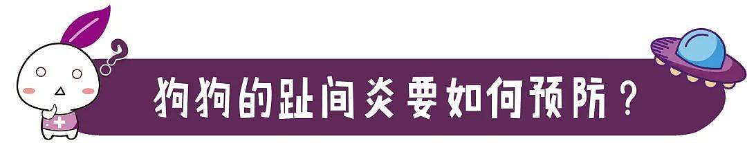 狗狗的脚趾缝红肿、消不掉是怎么回事？原因和防治别错过！ - 10