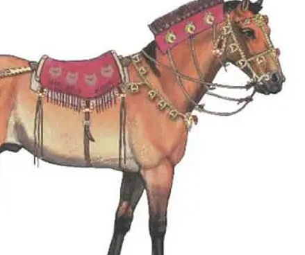 古代战场的马背英雄：为何马匹是不可或缺的战争利器？ - 1