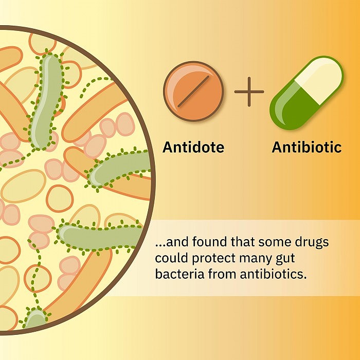 Antibiotics-Infographic-3.jpg
