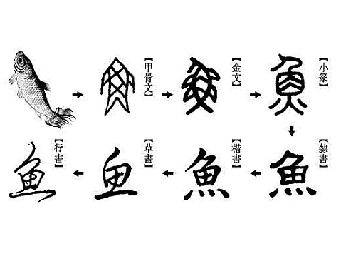 汉字的源起与演变：一段千年的文字之旅 - 1