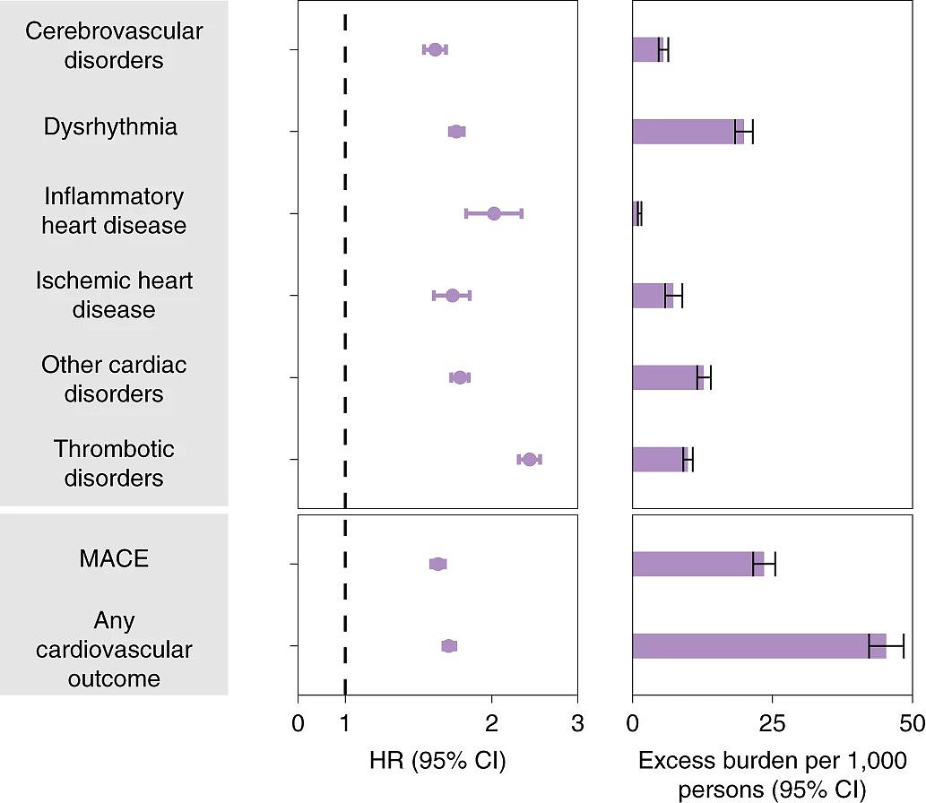 研究：COVID-19患者在感染后一年内心脏问题出现激增 - 3