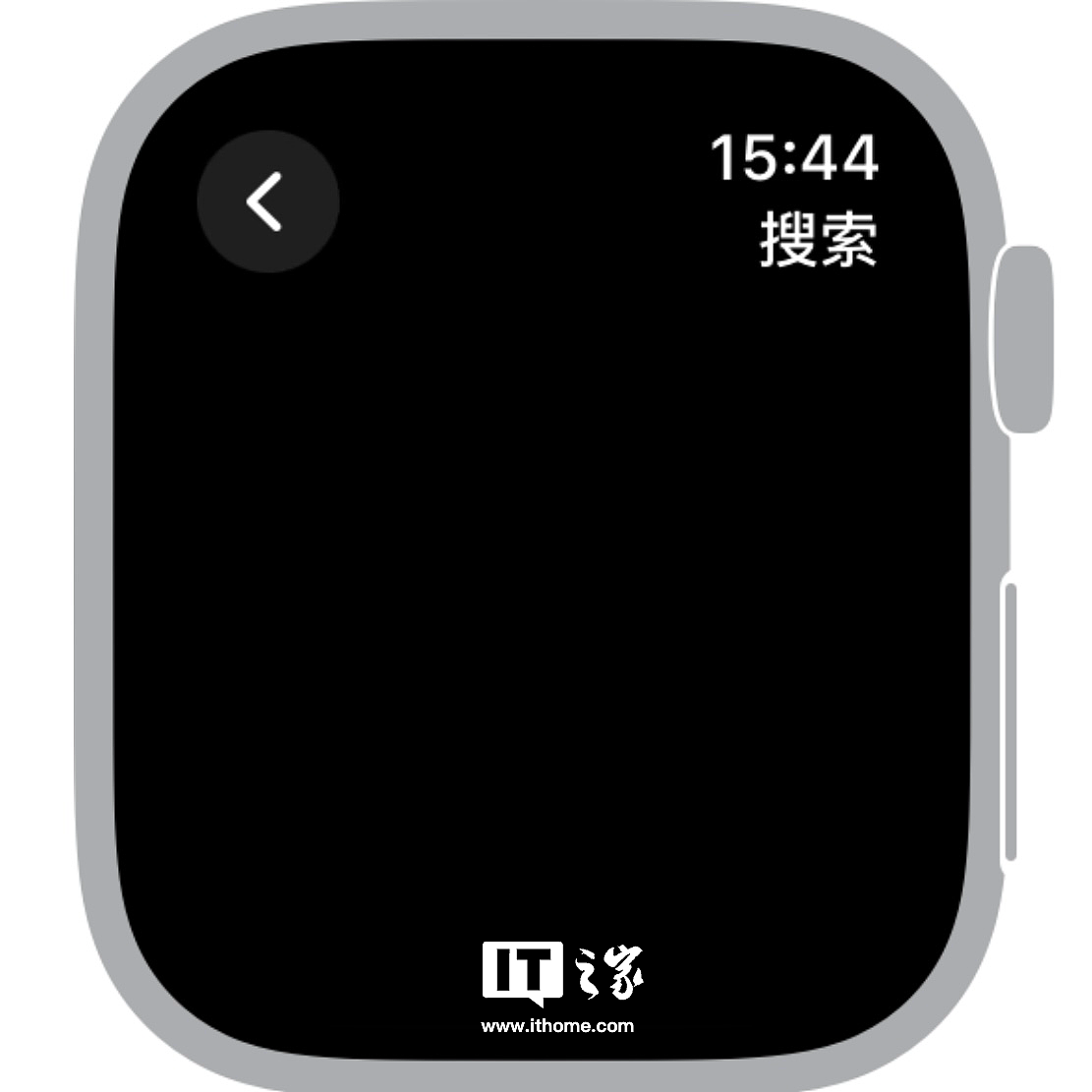 Apple Watch 界面