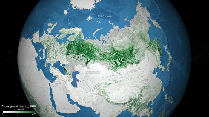 Above-Ground-Biomass-in-Russia-777x437.jpg
