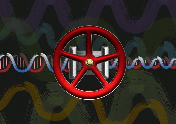 DNA-Valve-777x548.jpg