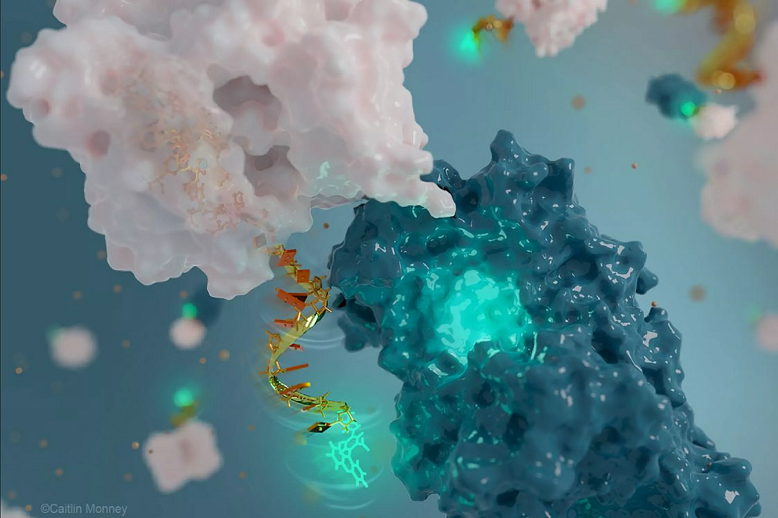 科学家用DNA制成能近距离观察蛋白质的发光纳米天线 - 1