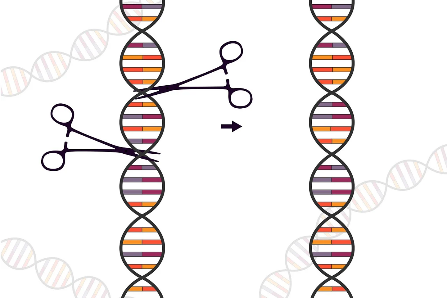 1期试验数据显示CRISPR用于治疗罕见基因疾病极具前景 - 1