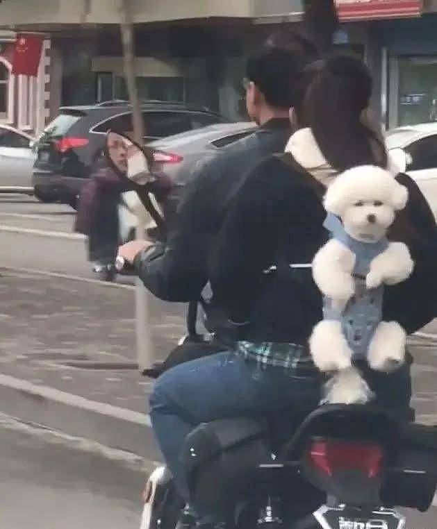主人骑摩托车带狗狗去兜风，狗：快放我下来，我害怕啊 - 3