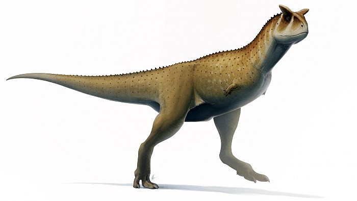 1Carnotaurus-sastrei-2048x1152.jpg