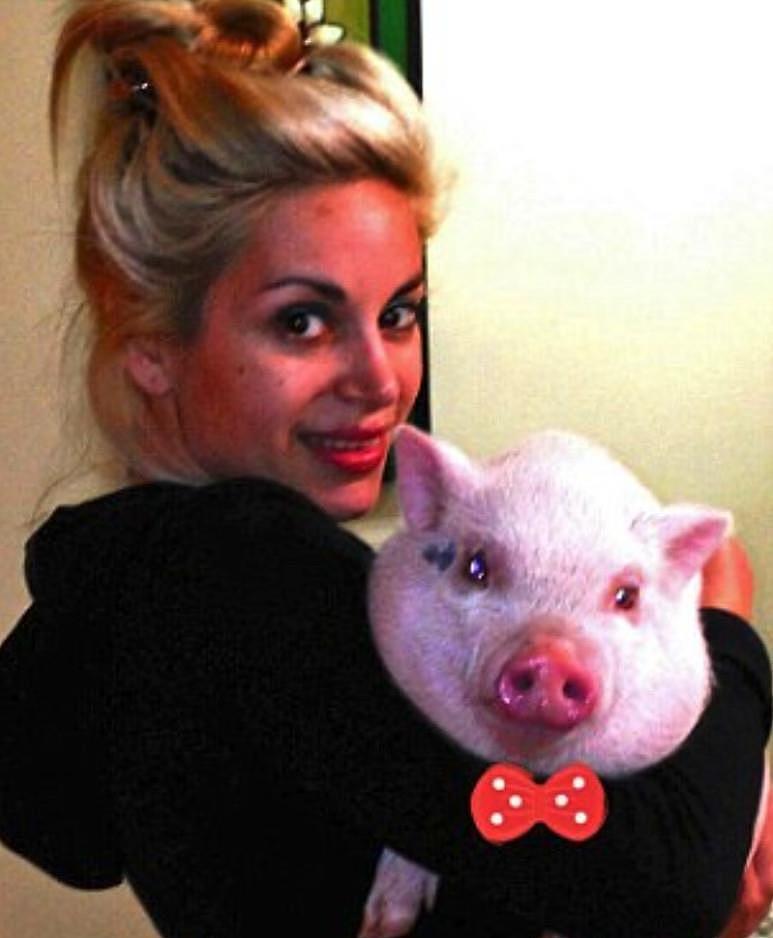 美国女士买了一只“长不大”迷你猪 没想到三年长到二百多斤 - 6