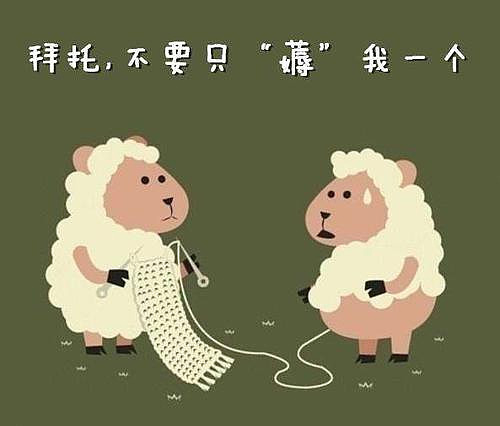 什么叫做羊毛党 - 1