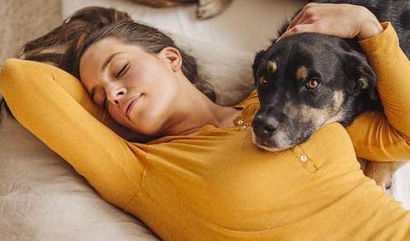 狗狗爱“上你的床”，除了想睡觉，还可能是这些原因 - 2