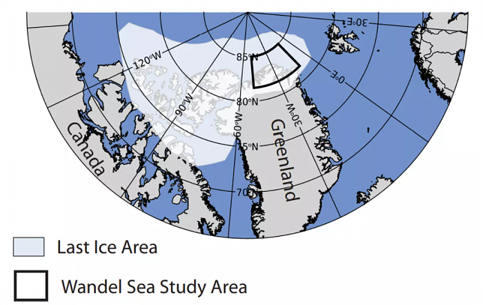 北极“最后的冰区”海冰融化创纪录 - 2