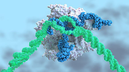 Jennifer Doudna 盛赞：首次将 CRISPR 注入血液治疗肝病 - 1