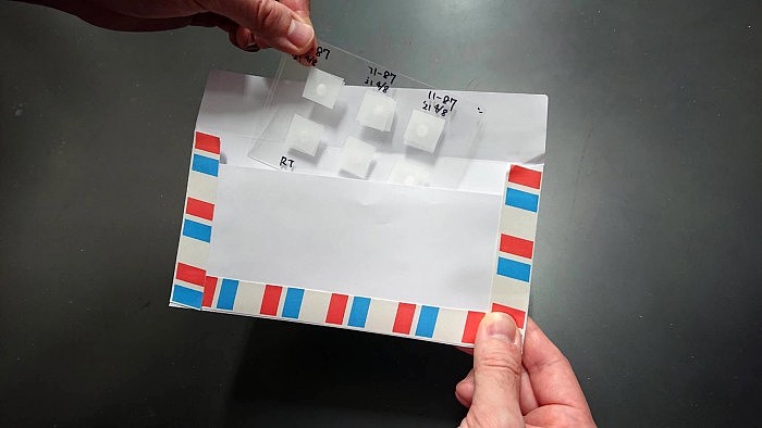 日本科学家尝试将冷冻干燥的老鼠精子通过明信片邮寄 - 2