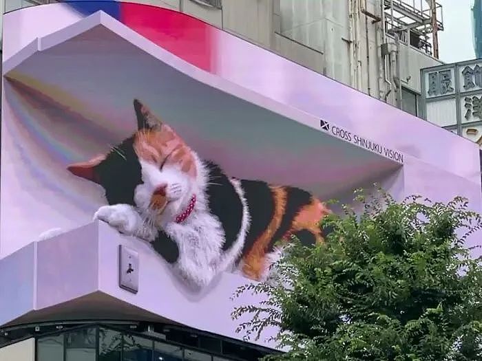 巨型喵星人亮相闹市街头，这只电子屏上的3D猫咪化身成热门景点 - 5