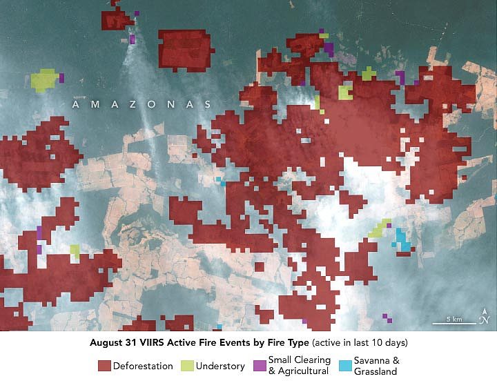 研究：亚马逊西部烟雾弥漫的天空主要是由森林砍伐引起的火灾产生 - 2