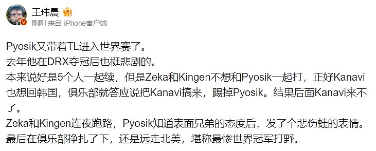 王玮晨谈Pyosik：史上最惨世界冠军打野！ - 1