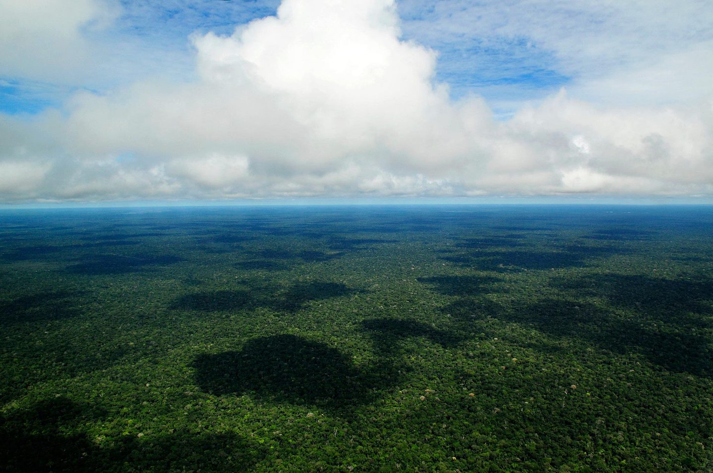 森林砍伐影响远超碳：一系列生物物理因素正在被它所改变 - 1