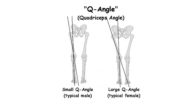 现在男人的腿，为什么普遍比女人更细更长？从科学角度解释 - 4