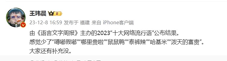 王玮晨谈2023十大流行语：感觉少了噂嘟假嘟、泰裤辣、哈基米 - 1
