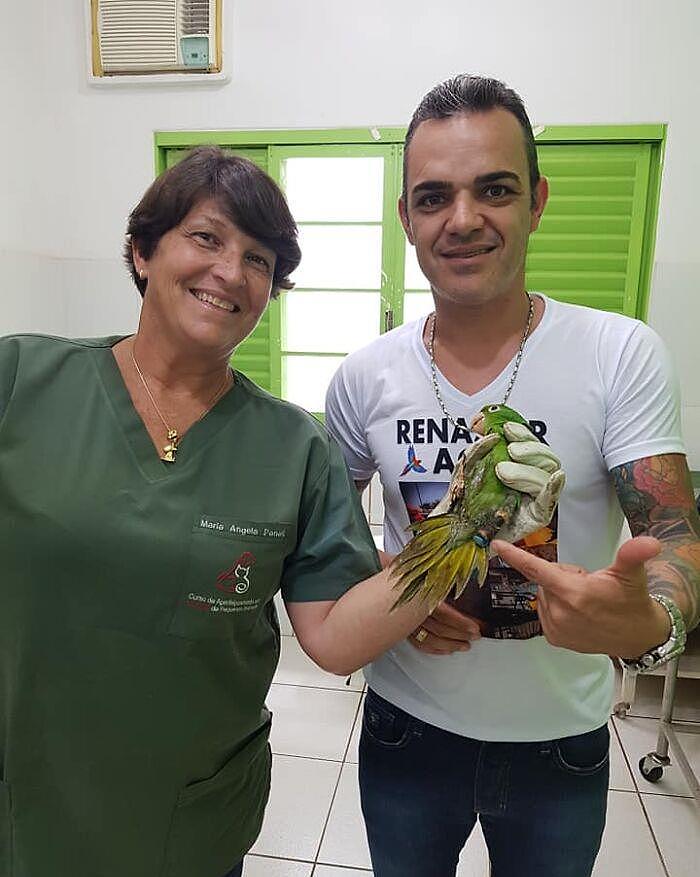 拯救鹦鹉！巴西一只鹦鹉的喙严重受损，装上人工喙后可以吃米糊 - 19