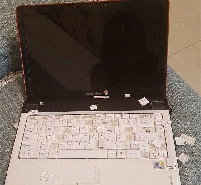 铲屎官年后在家办公，可电脑竟遭鹦鹉拆毁，键盘满是狼藉 - 1