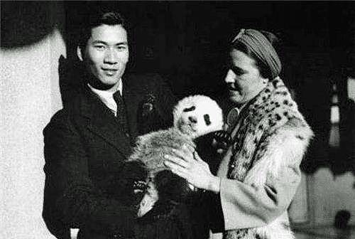 85年前，那个2次将熊猫从中国偷走的美国女人露丝，最后结局悲惨 - 3