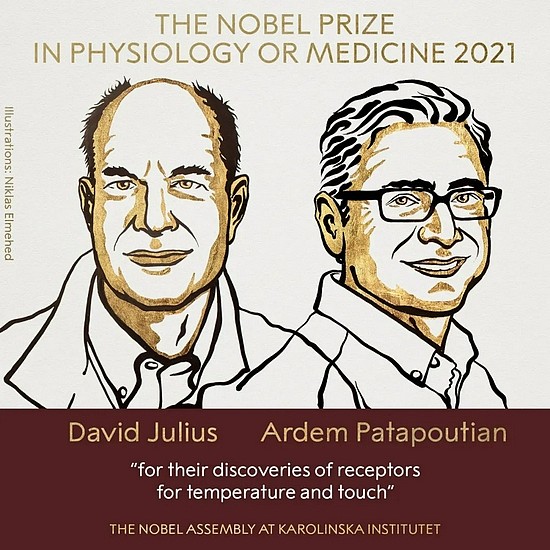 详解2021年诺贝尔生理学或医学奖：他们破解了人类的痛觉和触觉 - 1